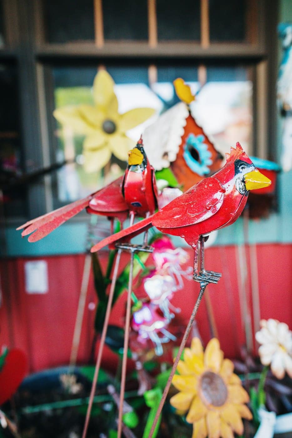 creekside gardens sports merchandise st. louis cardinals iron bird